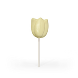 White Chocolate Tulip Pop