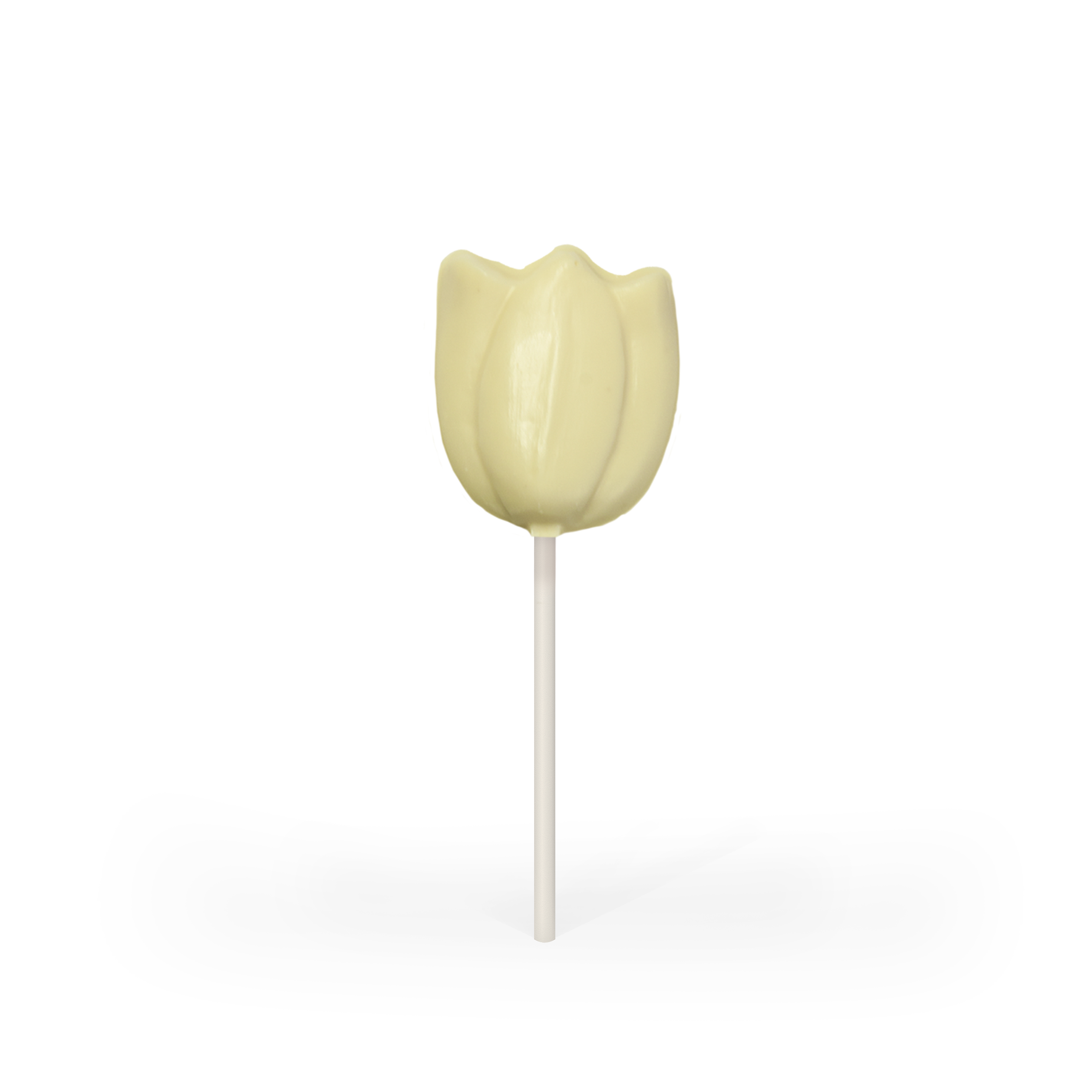 White Chocolate Tulip Pop