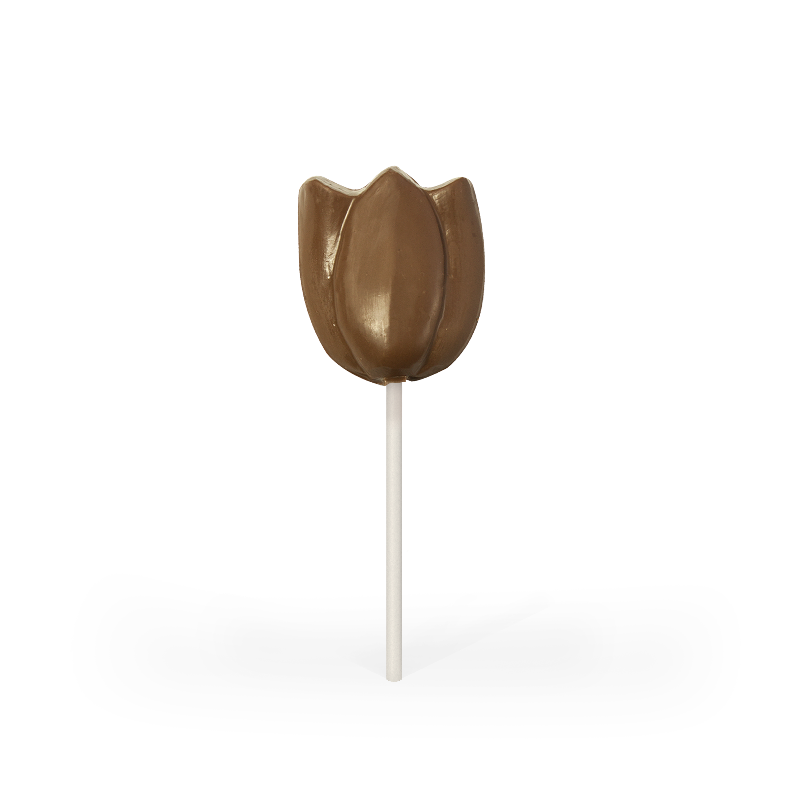 Milk Chocolate Tulip Pop