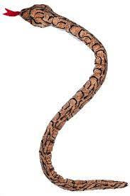 Slither Snake: Red Spots